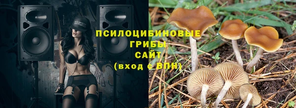 бошки Касимов
