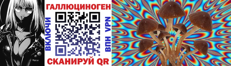Купить где  Азнакаево  Галлюциногенные грибы GOLDEN TEACHER 